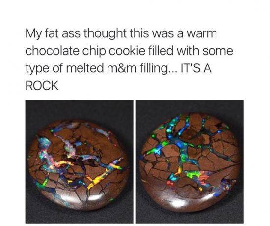Delicious Cookie!
