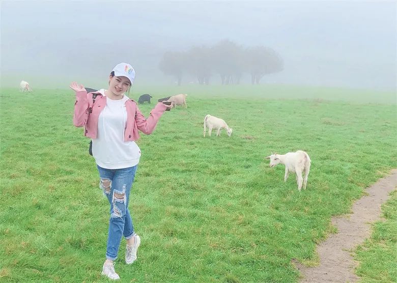 新员工特辑②|欢迎加入，梦想启航！